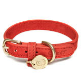 Colliers pour chiens