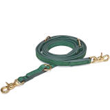 Laisses pour chiens