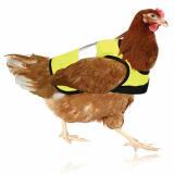 Gilets de signalisation