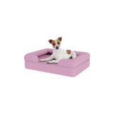 Chien assis sur un petit lit pour chien en mousse à mémoire de forme lavande-lilas