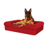 Chien assis sur un lit pour chien en mousse à mémoire de forme de couleur rouge merlot.