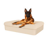 Chien assis sur un grand lit en mousse à mémoire de forme beige naturel