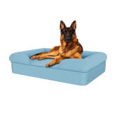 Chien assis sur un grand lit en mousse à mémoire de forme pour chien bleu ciel