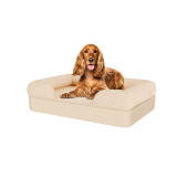 Chien assis sur un lit pour chien en mousse à mémoire de forme beige naturel moyen