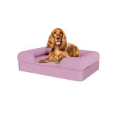 Chien assis sur un lit pour chien en mousse à mémoire de forme lavande lilas medium