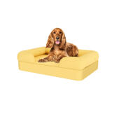 Chien assis sur le lit pour chien mellow yellow medium memory foam bolster