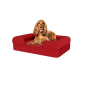 Chien assis sur un traversin en mousse à mémoire de forme de couleur rouge merlot.