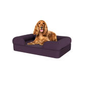 Chien assis sur un lit pour chien en mousse à mémoire de forme de taille moyenne, de couleur prune et violette.