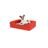 Chien assis sur un petit lit pour chien en mousse à mémoire de forme rouge cerise