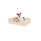 Chien assis sur un petit lit pour chien en mousse à mémoire de forme beige naturelle