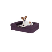 Chien assis sur un petit lit pour chien en mousse à mémoire de forme, de couleur violette