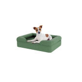 Chien assis sur un petit lit pour chien en mousse à mémoire de forme vert sauge