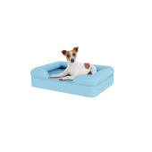 Chien assis sur un petit lit pour chien en mousse à mémoire de forme bleu ciel