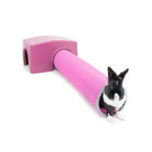 Lapin violet Zippi abri et tunnel de jeu