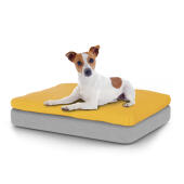 Chien assis sur un petit lit pour chien Topology avec sac de haricots sur le dessus.