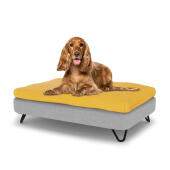 Chien assis sur un lit pour chien de taille moyenne Topology avec un rembourrage en forme de pouf et des pieds en épingle à cheveux en métal noir.