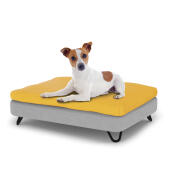 Chien assis sur un petit lit pour chien Topology avec un pouf et des pieds en épingle à cheveux en métal noir.
