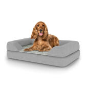 Chien assis sur un lit pour chien de taille moyenne Topology avec traversin