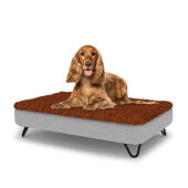 Chien assis sur un lit pour chien de taille moyenne Topology avec surmatelas en microfibre et pieds en épingle à cheveux en métal noir