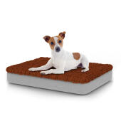 Chien assis sur un petit lit pour chien Topology avec surmatelas en microfibre