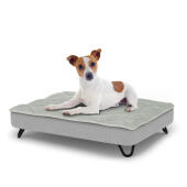 Chien assis sur un petit lit pour chien Topology avec dessus matelassé et pieds en épingle à cheveux en métal noir.