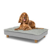 Chien assis sur un lit pour chien de taille moyenne Topology avec surmatelas et pieds ronds en bois