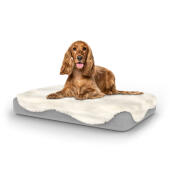 Chien assis sur un lit pour chien de taille moyenne Topology avec surmatelas en peau de mouton