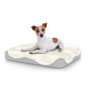 Chien assis sur un petit lit pour chien Topology avec dessus en peau de mouton