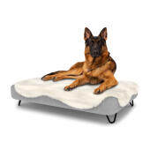 Chien assis sur un grand lit pour chien Topology avec une couverture en peau de mouton et des pieds en épingle à cheveux en métal noir.