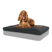 Le topper beanbag offrira un confort inégalé à votre chien.