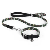 Laisse pour chien, collier et porte-sac à crottes en kit