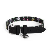 Collier de chien design par Omlet