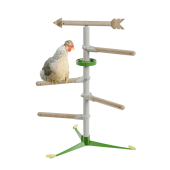 Poule dans le kit de système de perchoir autoportant