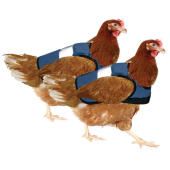 Veste de poulet haute visibilité, paquet double