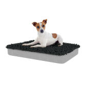 Chien assis sur un lit pour chien de taille moyenne Topology avec surmatelas en microfibre gris anthracite