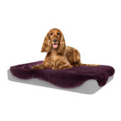 Peau de mouton violette damson pour Topology lit pour chien