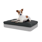 Le matelas en mousse à mémoire de forme et le pouf gris anthracite offriront un soutien imbattable à votre chien.