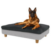 Berger allemand dans le grand lit pour chien Topology 