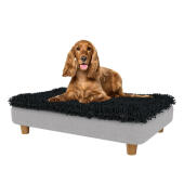 Cocker dans le lit pour chien moyen Topology 