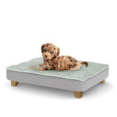 Un chiot se reposant sur le petit lit pour chiot Topology avec des pieds carrés en bois