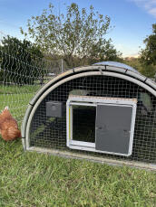 Porte automatique pour poules