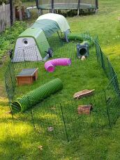 Une installation de lapins dans un jardin avec un Go vert et un parcours.