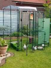 Un poulailler avec des poules à l'intérieur, des clôtures et des manGeoires pour les poules.
