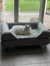 Un chat blanc duveteux appréciant son grand lit gris avec traversin.