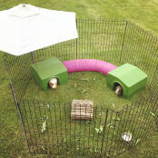 Deux abris pour cochons d'inde reliés par un tunnel pour lapins.