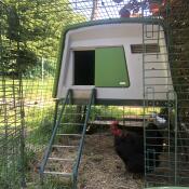 Eglu Cube avec enclos de 2m à Osselle (Doubs-25)