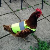Une veste haute visibilité très intelligente !
