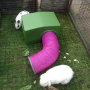 Miffy & smudge profitent de leur nouvelle maison et de leur tube.