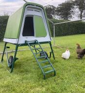 Un poulailler vert à l'intérieur d'un parcours, dans un jardin