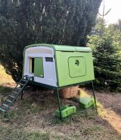 Un poulailler vert sans parcours installé dans un jardin